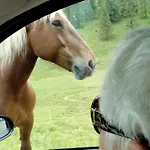 Tirol بريسيغ